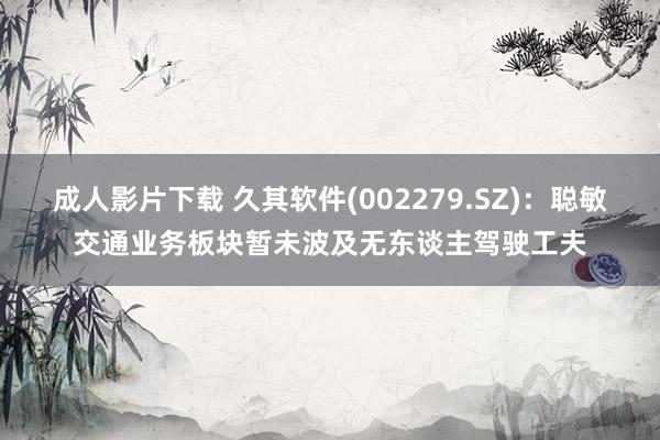 成人影片下载 久其软件(002279.SZ)：聪敏交通业务板块暂未波及无东谈主驾驶工夫