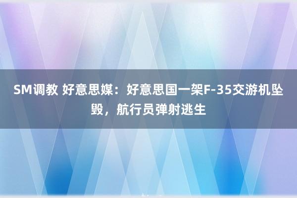 SM调教 好意思媒：好意思国一架F-35交游机坠毁，航行员弹射逃生