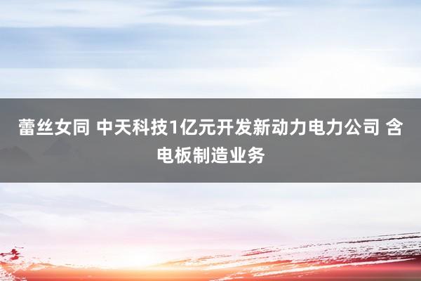 蕾丝女同 中天科技1亿元开发新动力电力公司 含电板制造业务