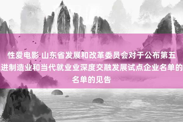 性爱电影 山东省发展和改革委员会对于公布第五批先进制造业和当代就业业深度交融发展试点企业名单的见告