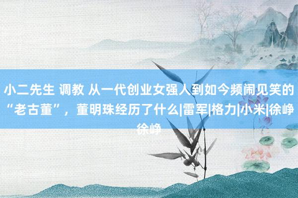 小二先生 调教 从一代创业女强人到如今频闹见笑的“老古董”，董明珠经历了什么|雷军|格力|小米|徐峥