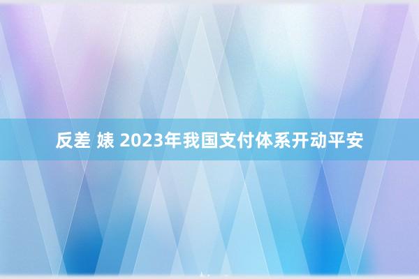 反差 婊 2023年我国支付体系开动平安