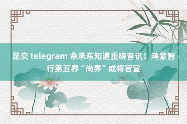 足交 telegram 余承东知道重磅音讯！鸿蒙智行第五界“尚界”或将官宣