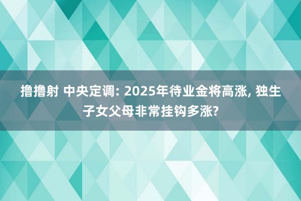 撸撸射 中央定调: 2025年待业金将高涨, 独生子女父母非常挂钩多涨?