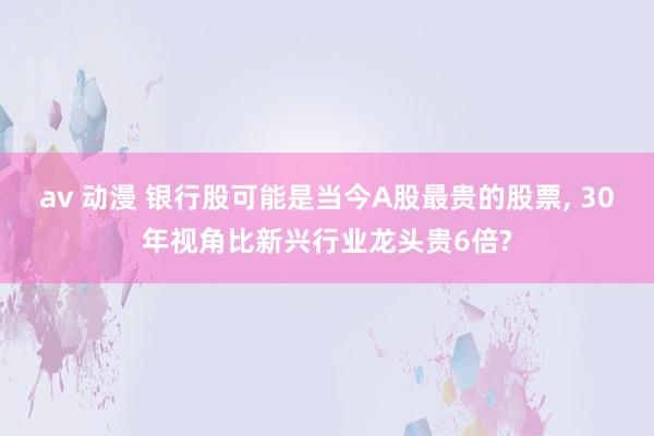 av 动漫 银行股可能是当今A股最贵的股票, 30年视角比新兴行业龙头贵6倍?
