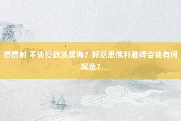 撸撸射 不谈停战谈黑海？好意思俄利雅得会谈有何深意？