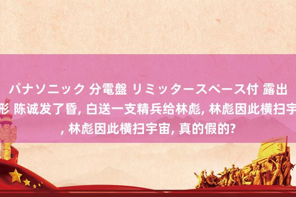 パナソニック 分電盤 リミッタースペース付 露出・半埋込両用形 陈诚发了昏, 白送一支精兵给林彪, 林彪因此横扫宇宙, 真的假的?