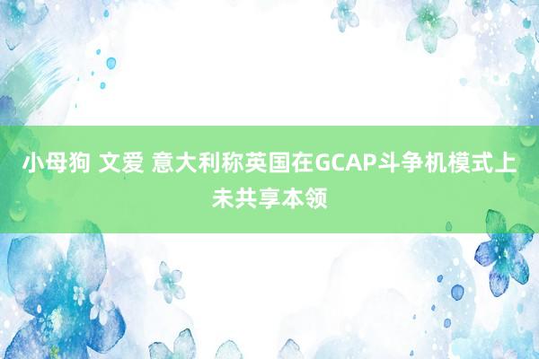 小母狗 文爱 意大利称英国在GCAP斗争机模式上未共享本领