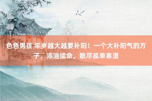 色色男孩 年岁越大越要补阳！一个大补阳气的方子，添油续命，散尽孤单寒湿