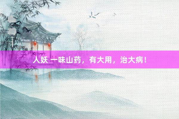 人妖 一味山药，有大用，治大病！