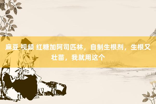 麻豆 视频 红糖加阿司匹林，自制生根剂，生根又壮苗，我就用这个