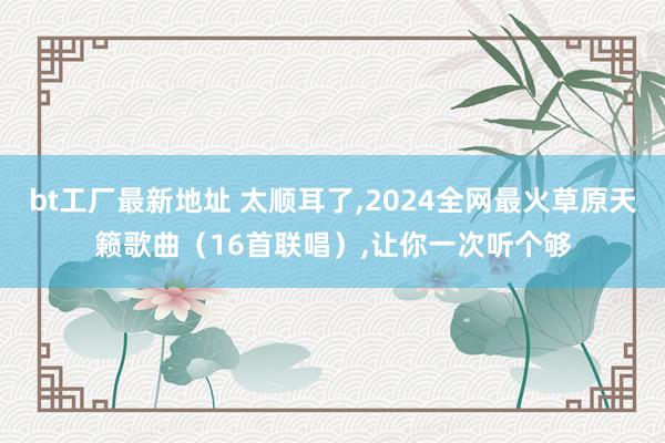 bt工厂最新地址 太顺耳了,2024全网最火草原天籁歌曲（16首联唱）,让你一次听个够