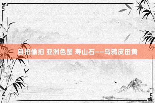 自拍偷拍 亚洲色图 寿山石——乌鸦皮田黄