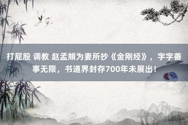 打屁股 调教 赵孟頫为妻所抄《金刚经》，字字善事无限，书道界封存700年未展出！