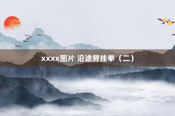 xxxx图片 沿途劈挂拳（二）