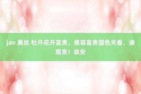 jav 黑丝 牡丹花开富贵，雍容富贵国色天香，请观赏！埃安