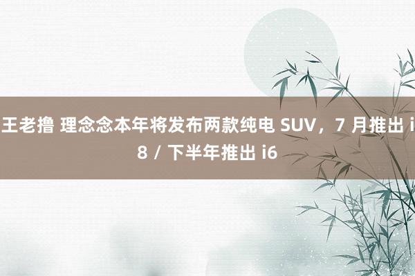 王老撸 理念念本年将发布两款纯电 SUV，7 月推出 i8 / 下半年推出 i6