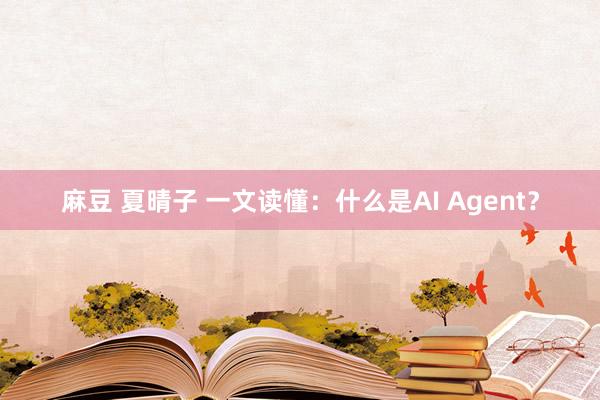 麻豆 夏晴子 一文读懂：什么是AI Agent？