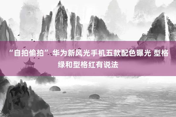“自拍偷拍” 华为新风光手机五款配色曝光 型格绿和型格红有说法