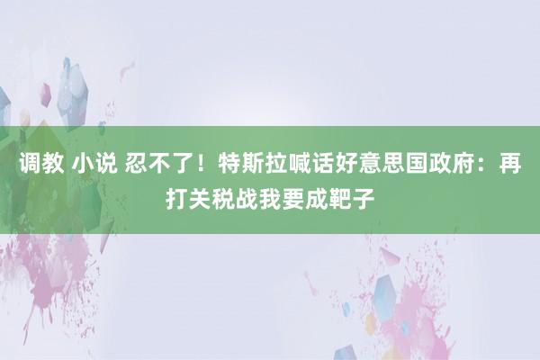 调教 小说 忍不了！特斯拉喊话好意思国政府：再打关税战我要成靶子