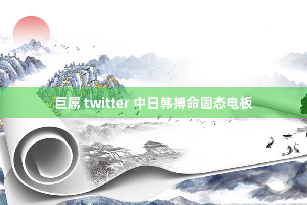 巨屌 twitter 中日韩搏命固态电板