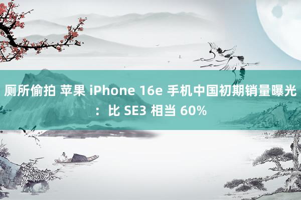 厕所偷拍 苹果 iPhone 16e 手机中国初期销量曝光：比 SE3 相当 60%